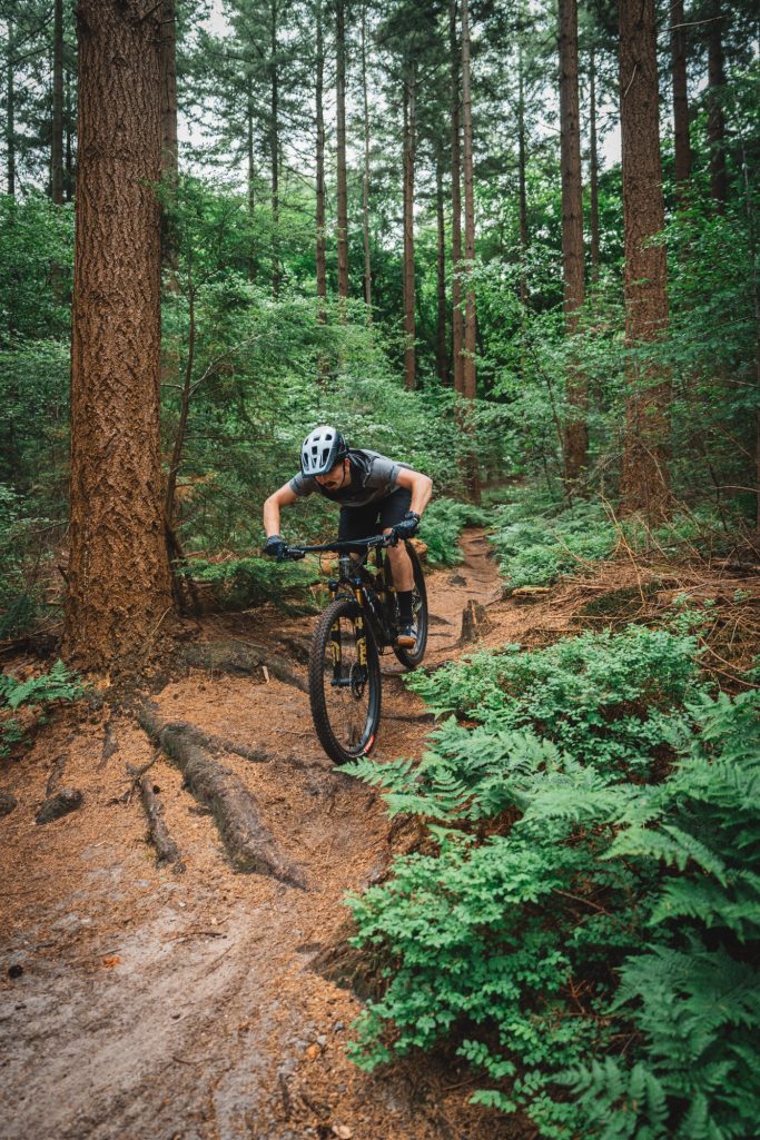 Introductie Shimano XTR 2025